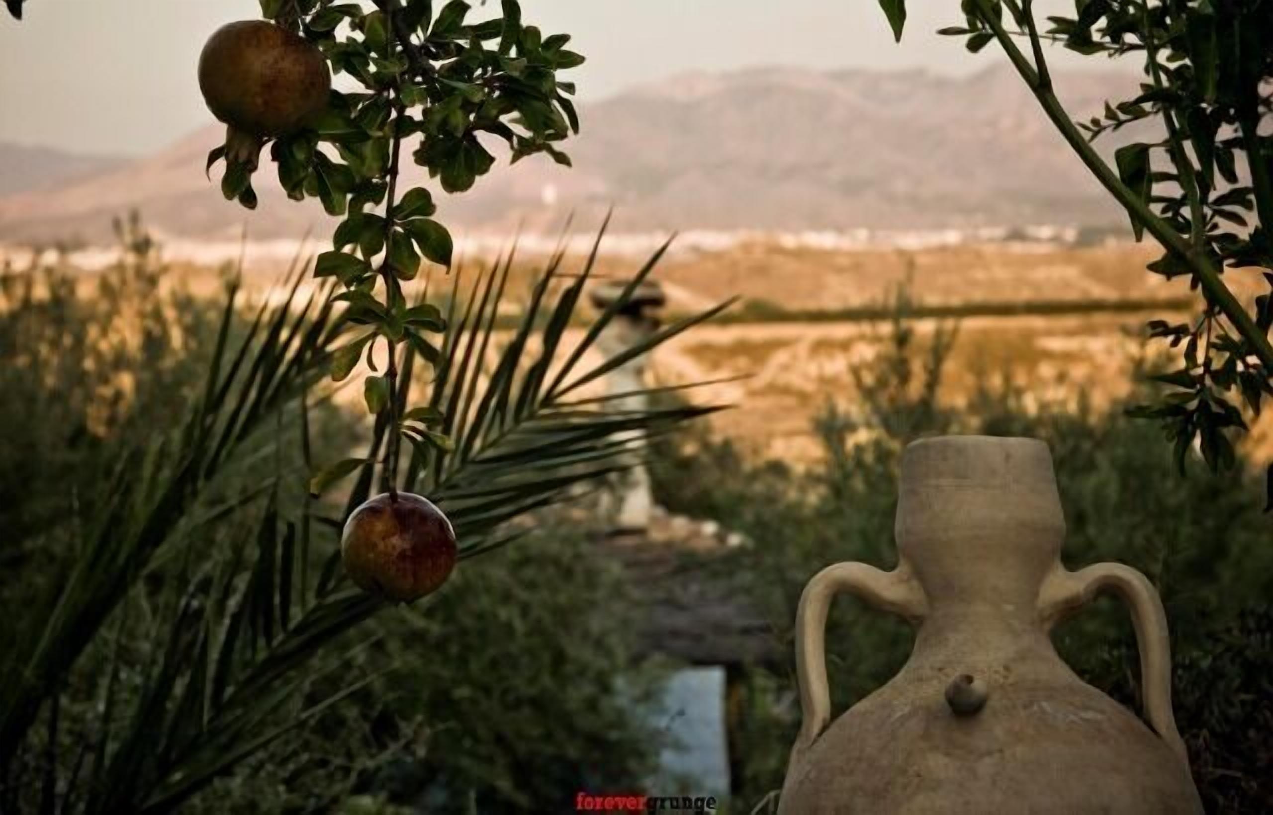 Casa Rural Aloe Vera for 2 people