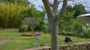 A stone wall, a tree, and a grassy area with flowers. - Gîte des Patiasses, very spacious,between Rennes le Château and Rennes les Bains (Couiza)