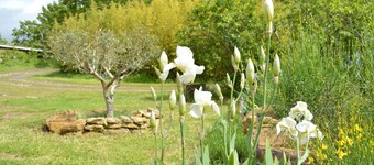 Gîte des Patiasses, very spacious,between Rennes le Château and Rennes les Bains
