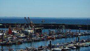 Un port de plaisance où sont amarrés différents types de bateaux, une jetée qui s’avance dans l’eau et un ciel dégagé.