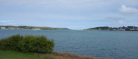 A coastal view with a grassy foreground, a body of water, and distant hills.