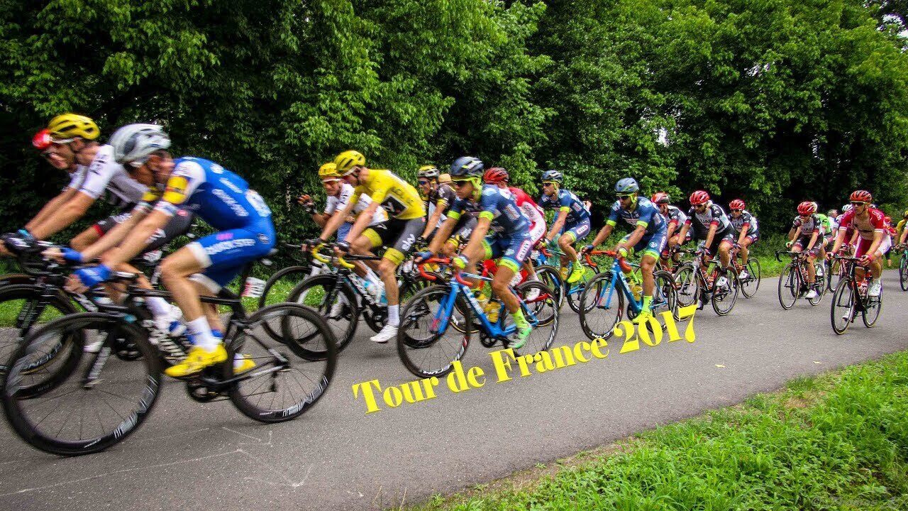 A group of cyclists on a road with trees in the background.