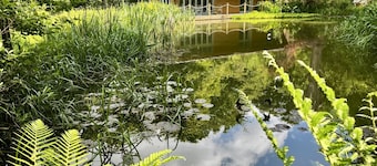 Riverside Lodge New Forest