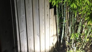 Uklassifisert bilde, 2 av 35, knapp