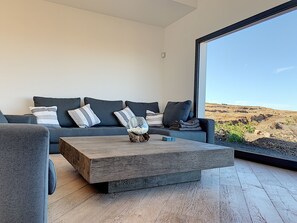 Televisión, chimenea y reproductor de DVD 