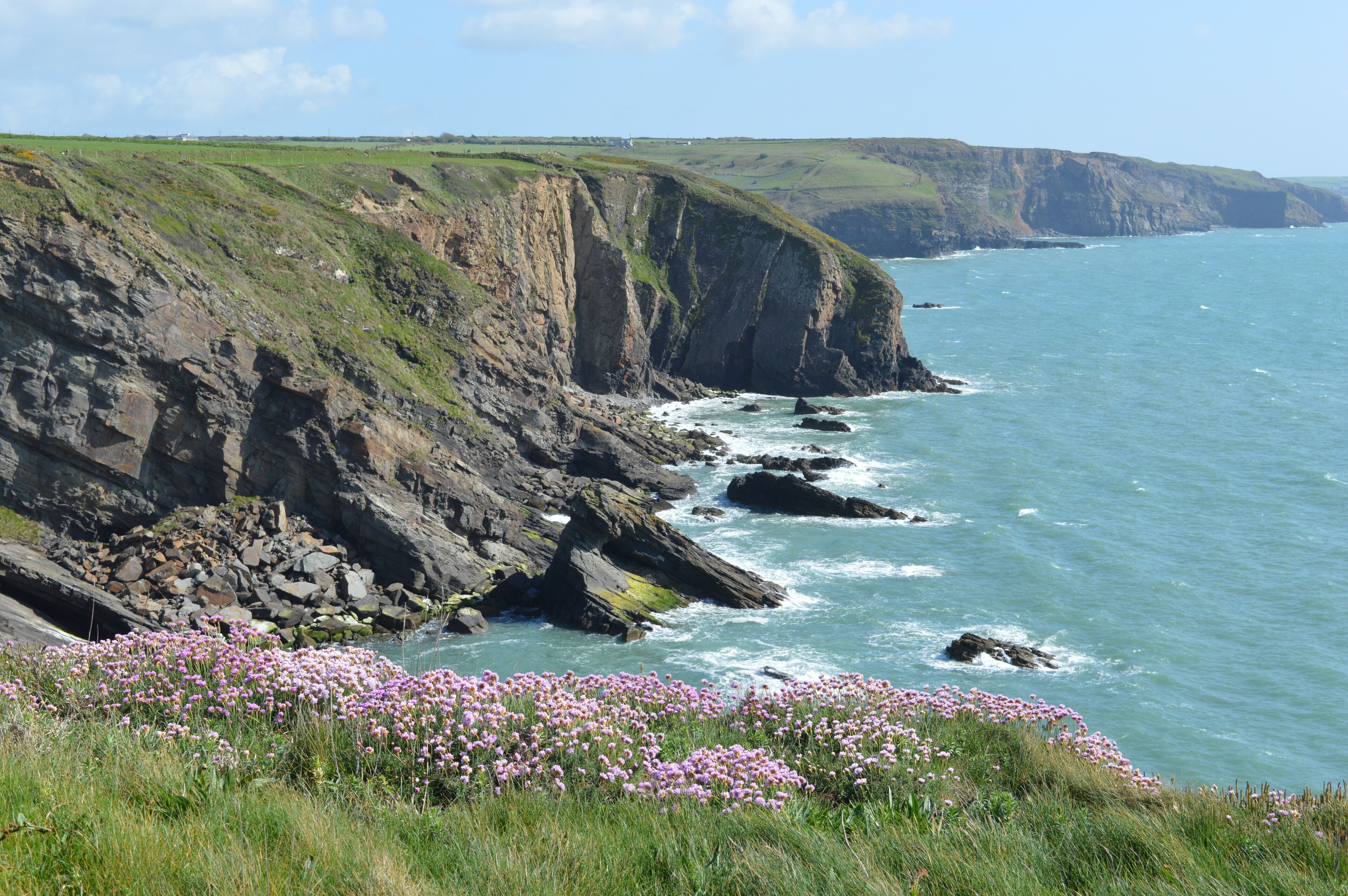The Pembrokshire coastal path on your doorstep, the walk to Druidston