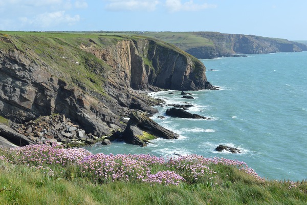 The Pembrokshire coastal path on your doorstep, the walk to Druidston