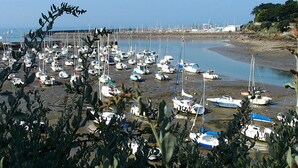 Una marina con numerosas embarcaciones amarradas a la orilla.