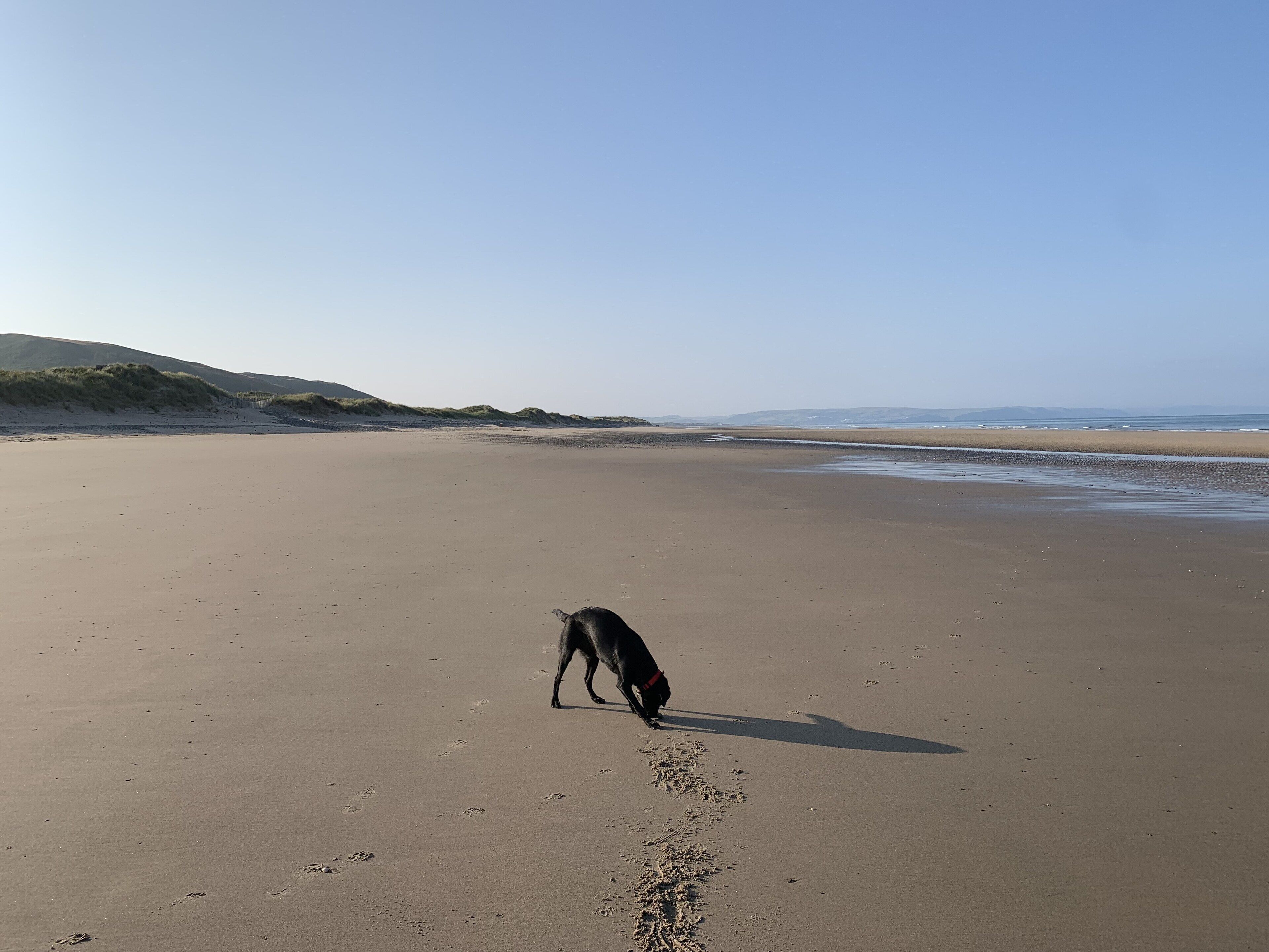 Total freedom with no-one around 