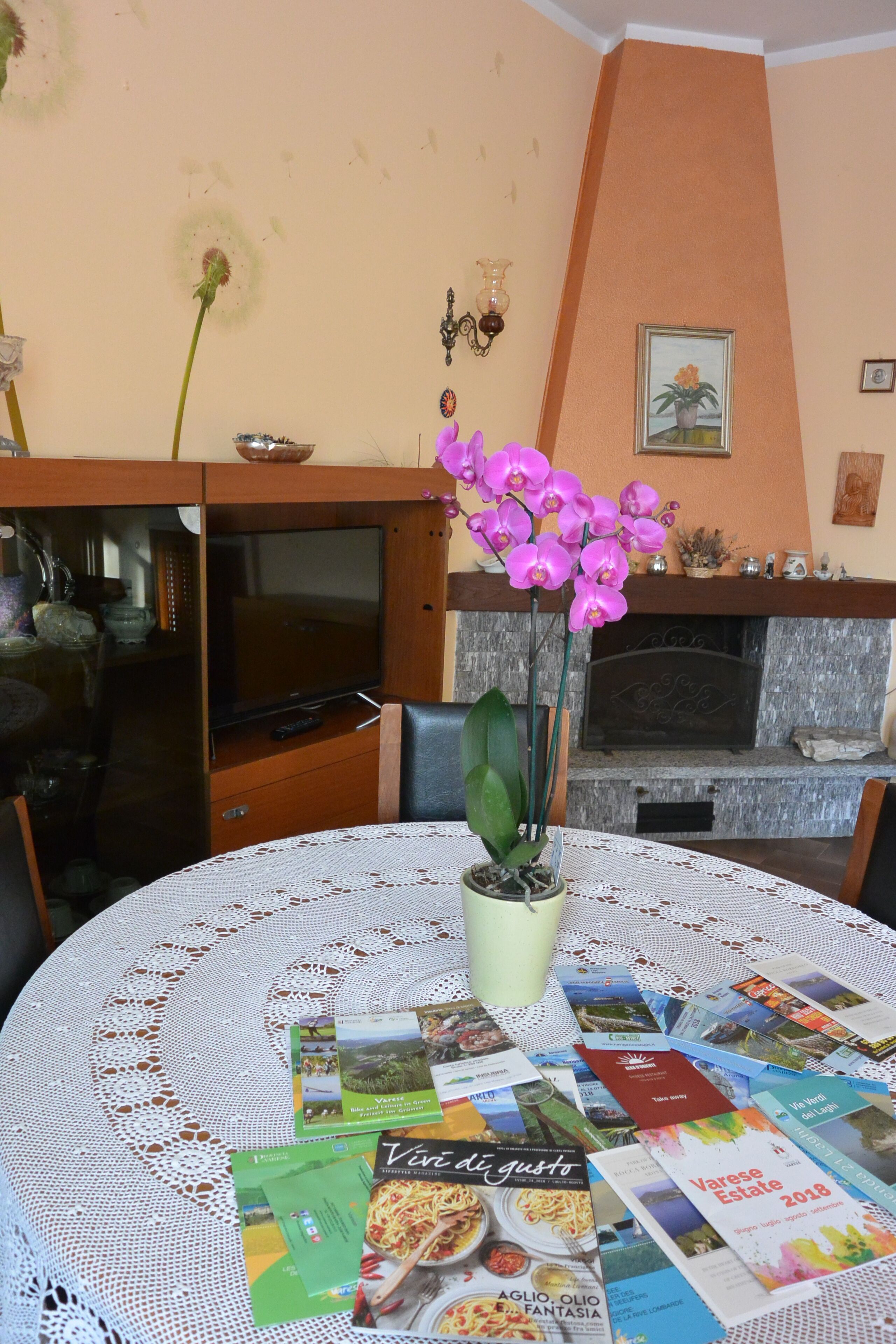Restauration