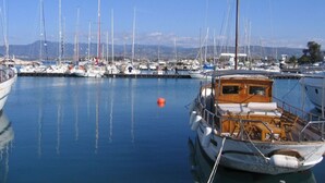 Un puerto deportivo con varias embarcaciones amarradas, agua tranquila y cielo despejado.