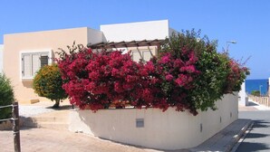Un edificio con fachada blanca, un pequeño jardín con flores rosas y un cielo azul despejado.