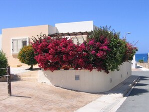 View of villa front with path to beach beyond