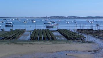 Jachthaven