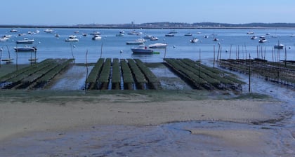 Classified 3 *** 200m from Arcachon Bay + 2 mountain bikes available!