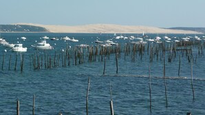 A marina with numerous boats docked and wooden posts in the water.
