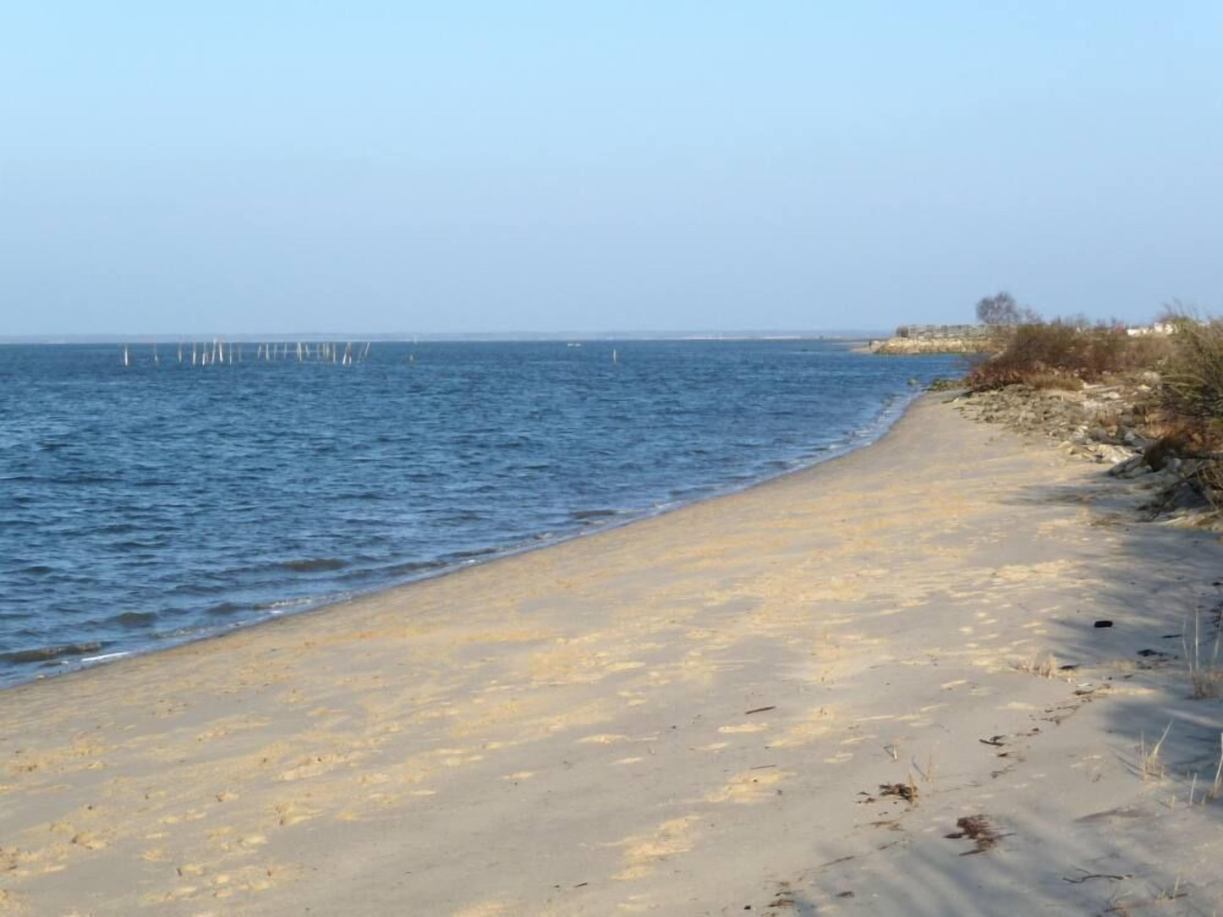 Une plage de sable fin, avec une eau calme et un ciel dégagé.
