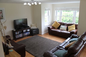 Smart TV, video game console, DVD player, books