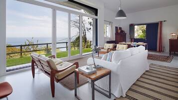 Télévision, cheminée, lecteur de DVD