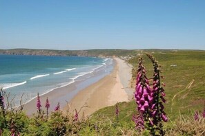 A coastal landscape with a beach, grassy hills, and purple flowers in the foreground. - Upper Calffield Farm (Haverfordwest)