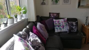 Smart TV, DVD player, books