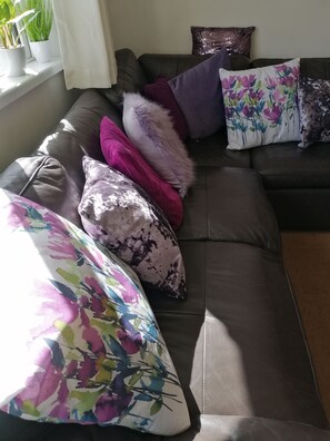 Smart TV, DVD player, books