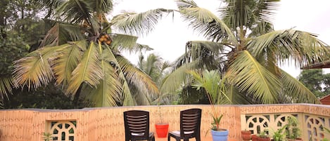 Terras