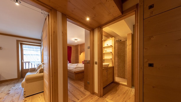 A wooden interior with a bed, a sofa, and a bathroom with a sink and shelves.
