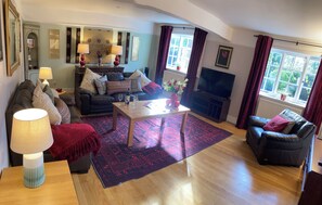 Smart TV, DVD player, books, video library