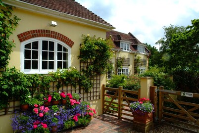 Cottage Hideaway- Direct Access to New Forest