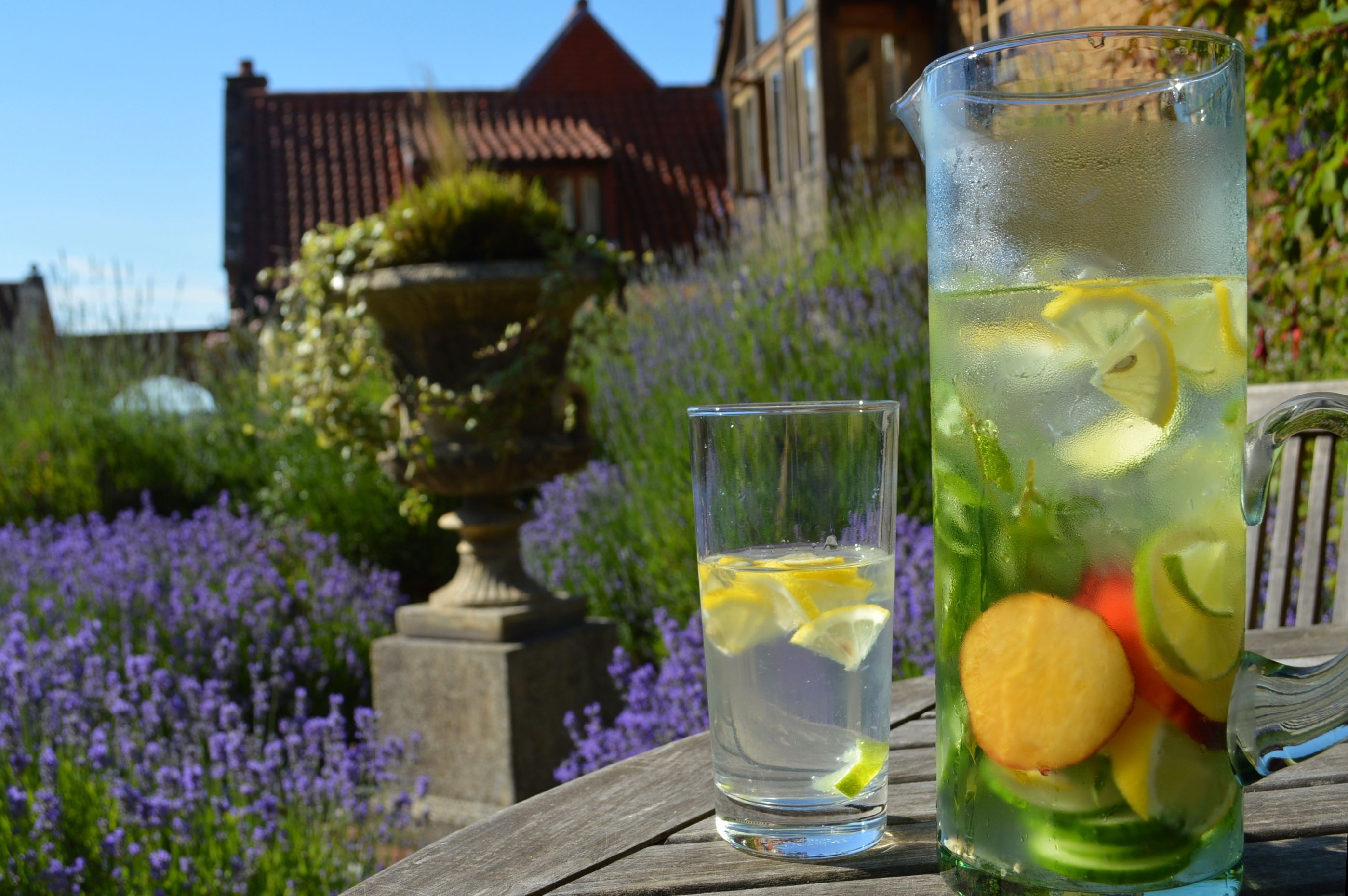 Ein Krug und ein Glas mit Wasser und Zitronenscheiben auf einem Holztisch mit Blick auf einen Garten.