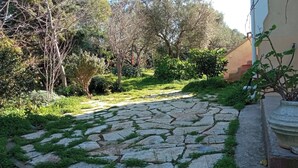 Ein gepflasterter Weg führt durch einen Garten mit verschiedenen Pflanzen und Bäumen.
