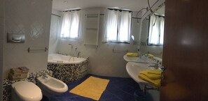 Ducha y bañera combinadas, bañera de hidromasaje, secador de pelo y bidé