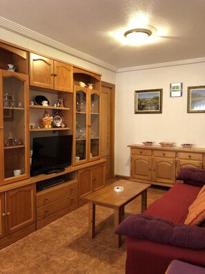 Smart TV, DVD player, books, stereo