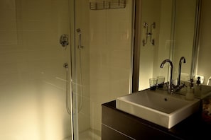 Shower, hair dryer, bidet, towels