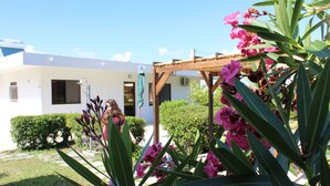 A modern building with a white exterior, a wooden pergola, and pink flowers in the foreground.