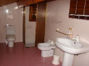 Hair dryer, towels, toilet paper