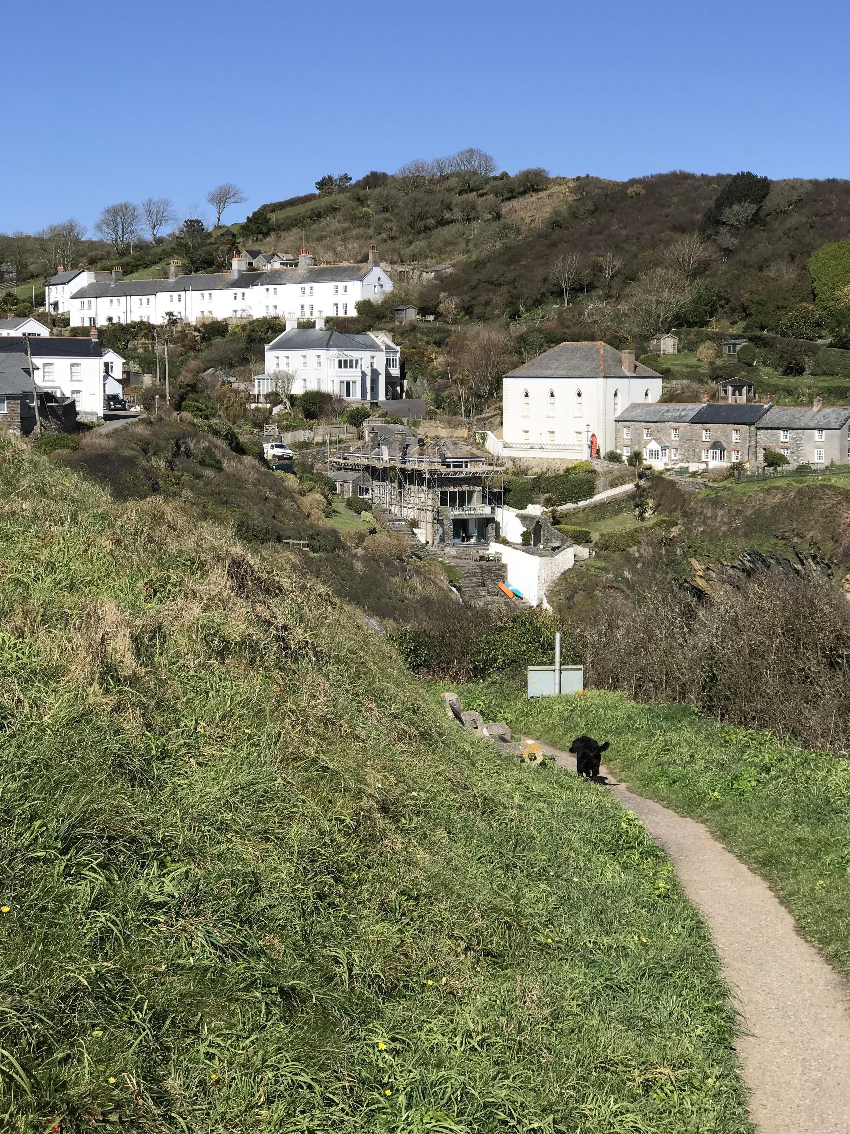 A hillside village with white buildings, a path leading uphill, and a black dog walking.