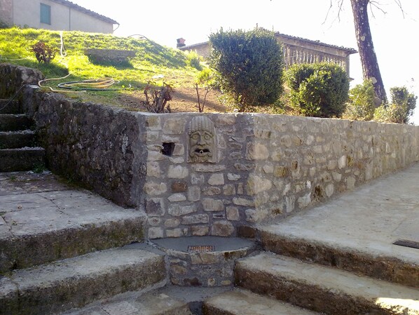 Àrea exterior de l'allotjament