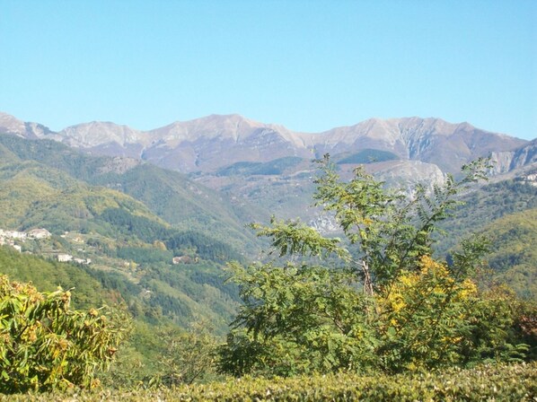 Un paisaje montañoso con cielo despejado.