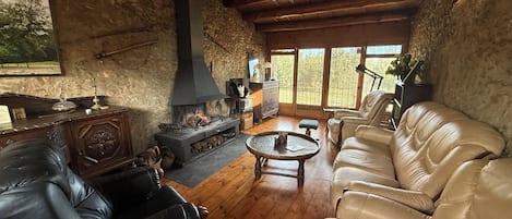 TV, fireplace, DVD player, books