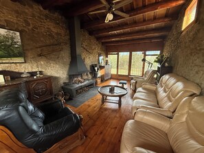 Televisión, chimenea, reproductor de DVD y libros 