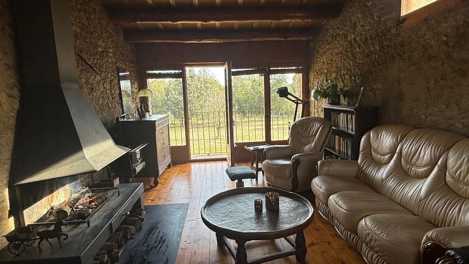 Télévision, cheminée, lecteur de DVD, livres