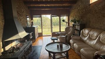 Télévision, cheminée, lecteur de DVD, livres