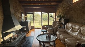 Téléviseur, foyer, lecteur de DVD, livres