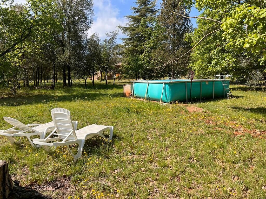 A grassy outdoor area with a swimming pool, lounge chairs, and trees.