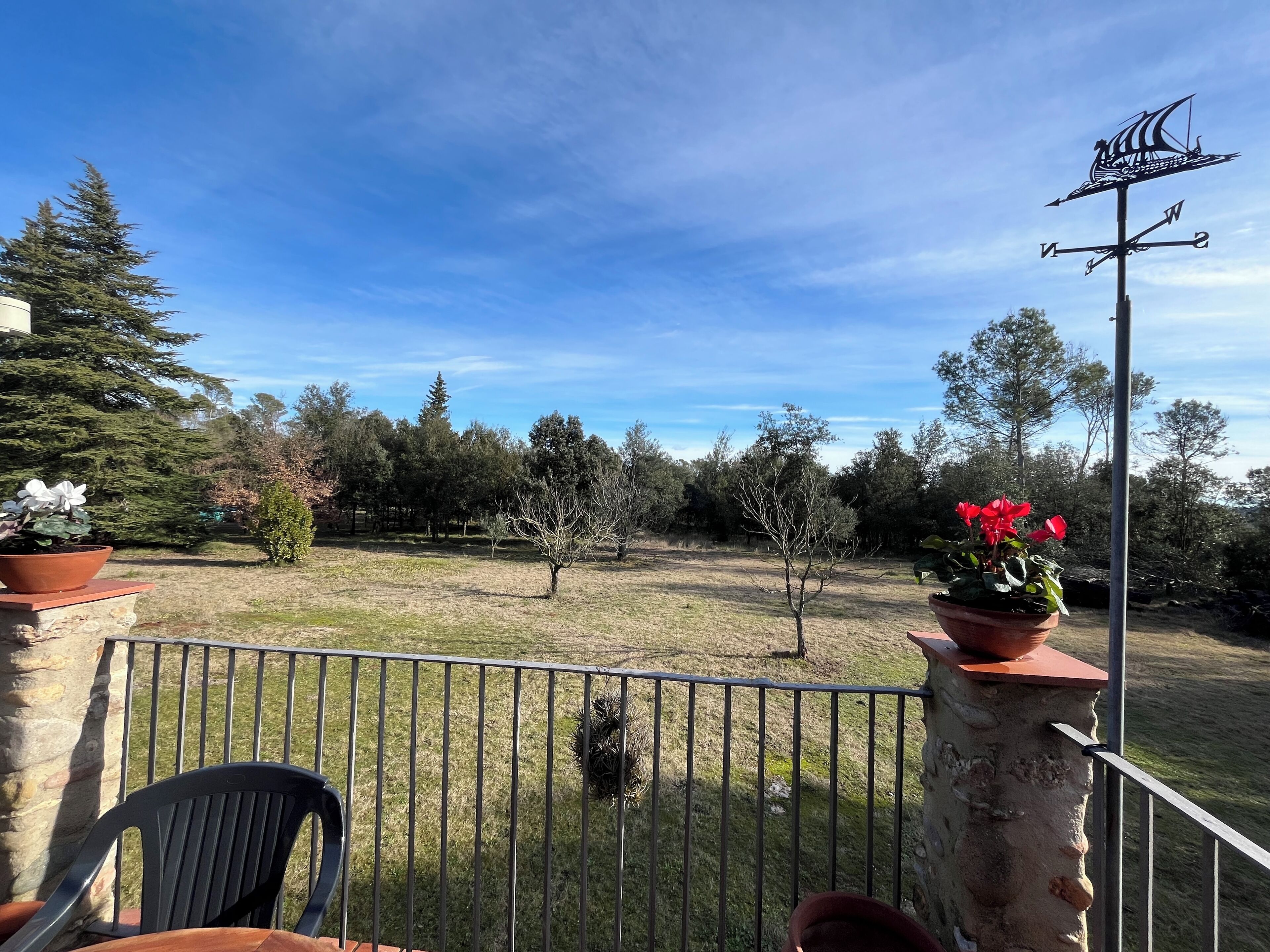 A balcony with a view of a grassy area, trees, and a weather vane.