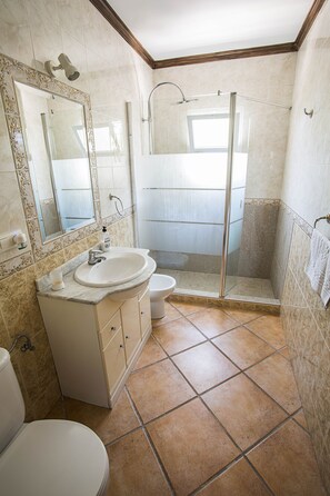 Combined shower/tub, hair dryer, bidet, towels