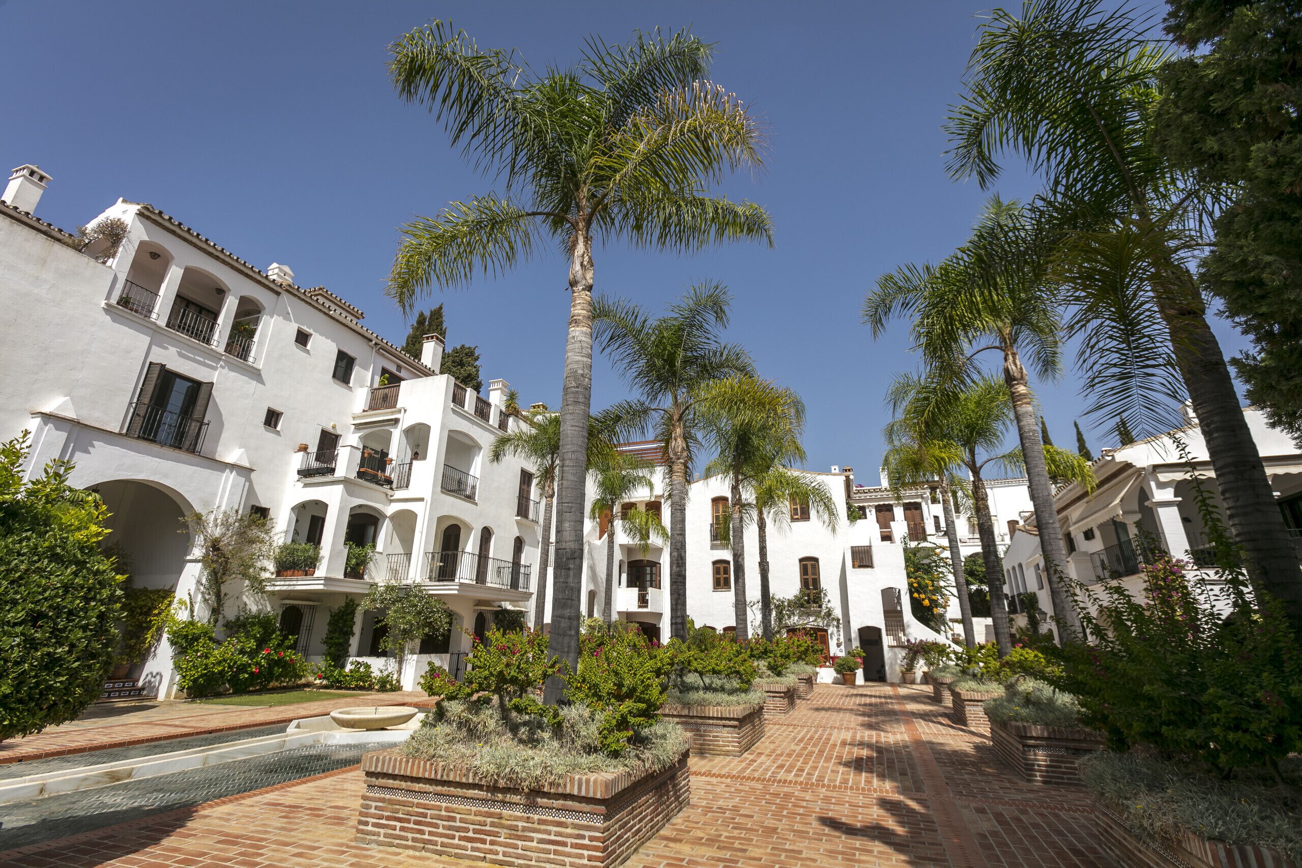 A courtyard with white buildings, palm trees, and brick pathways.