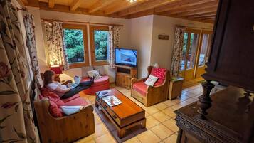 TV connectée, cheminée, lecteur de DVD, livres